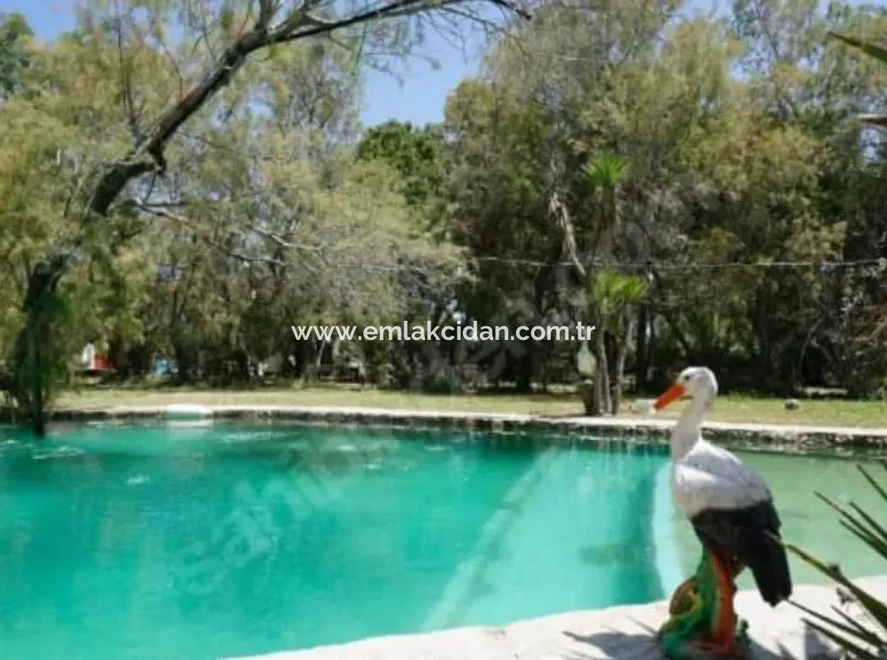 Datça Karaköy Limanına Yakın Deniz Kenarında Satılık Kamp Ve Karavan Park Yeri