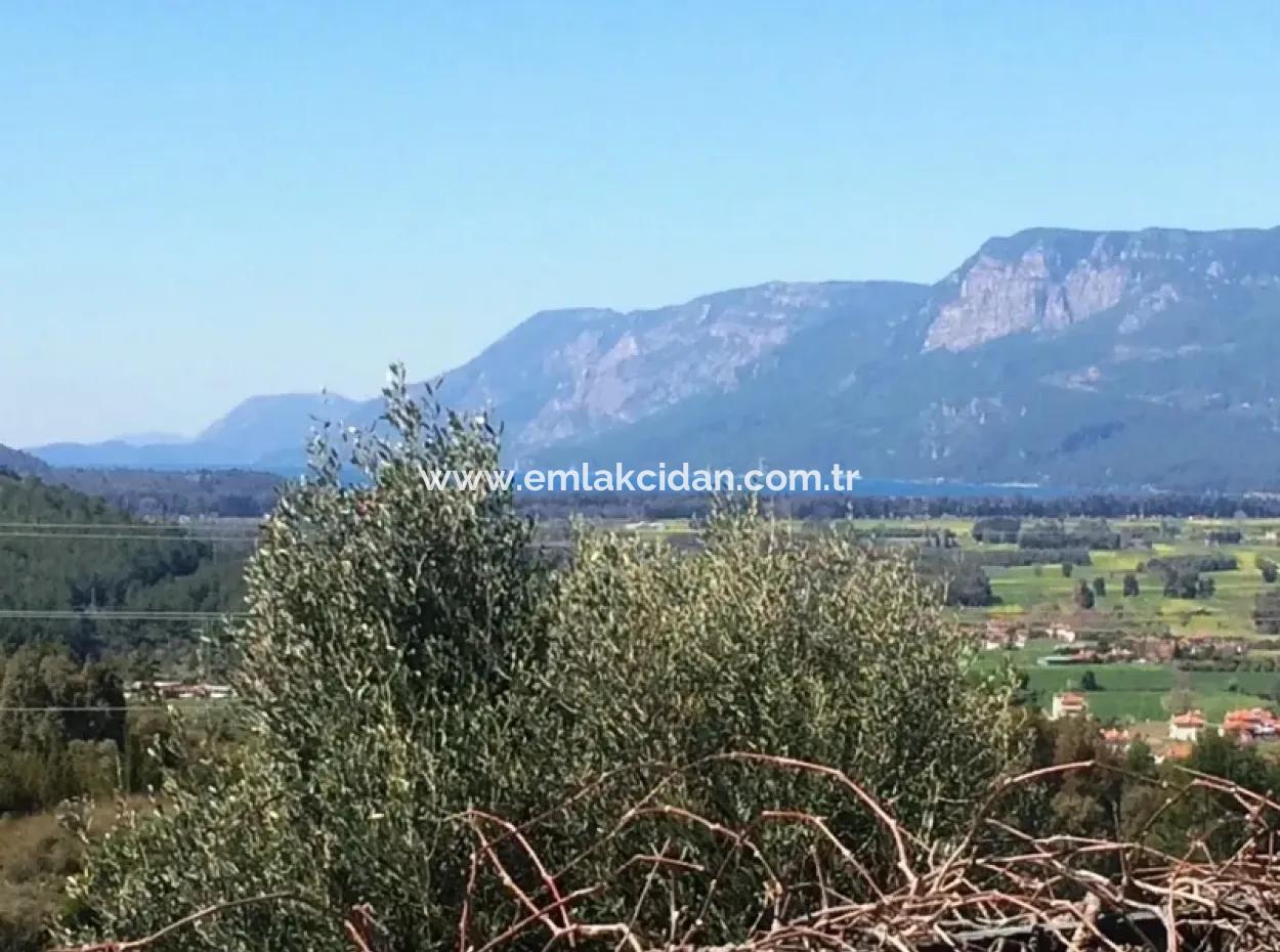 Gökova Bölgesinde Satılık Yüzme Havuzlu 8 Oda Taş Villa 740M2 Arsa