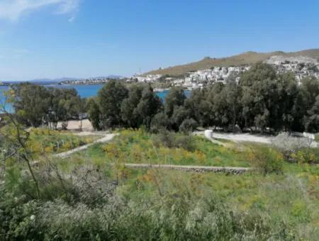 Bodrum Akyarlar Mevkisinde Denize Sıfır 4000M2 Turizm İmarlı Satılık Arsa