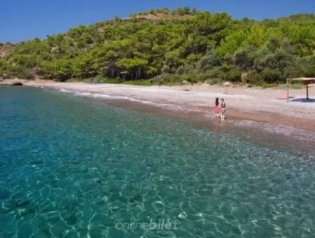 Datça Merkezinden 60 Km Uzaklıkta Satılık 100000M2 Arsa Üzerine Kurulu Tatil Köyü